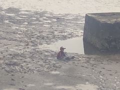 -碧海金沙