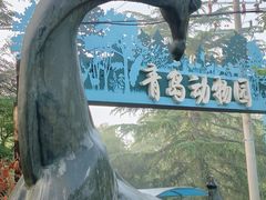 -青岛动物园