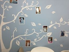 -喵的天空名猫咖啡馆·撸猫·猫舍·用品