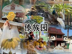 -西双版纳傣族园