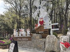 -沂蒙山旅游区云蒙景区(蒙山国家森林公园)