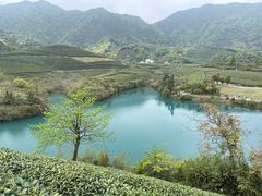 -龙坞茶村