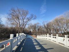 -大兴滨河森林公园