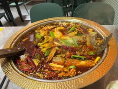 -肥家大排档(天河体育西店)