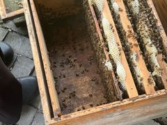 -阳澄湖费尔蒙酒店