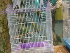 -龟与熊猫宠物公园(南坪店)