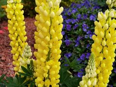 -苏州河梦清园环保主题公园