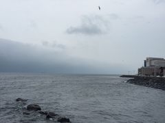 -龙头岩(Dragon Head Rock)
