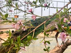 -河北村民俗体验园