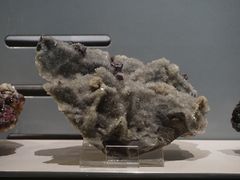 -中国地质博物馆