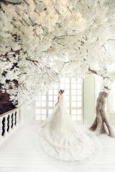 点击看大图 -上花轿婚纱摄影