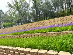 -长辛店二七公园