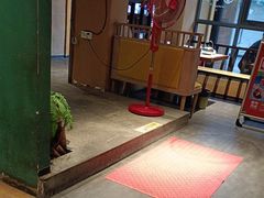 -小凤庭·地道湖北菜武昌鱼·藕汤(38年黄鹤楼店)