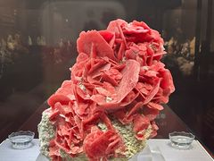 -湖南省地质博物馆