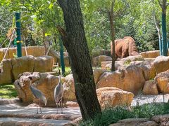 -北京野生动物园