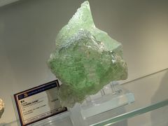 -中国地质大学逸夫博物馆