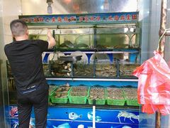 水产区-大丰收海鲜酒楼·专业餐饮30年(连云港老字号店)
