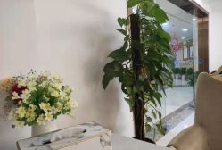 -女王智慧母婴健康护理·产后恢复中心