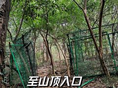 -紫金山山顶公园