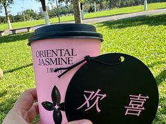 -万绿园