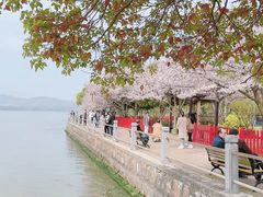 -无锡蠡湖国家湿地公园-蠡园