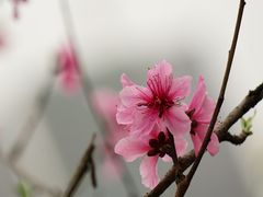 -重庆中央公园(渝北区)