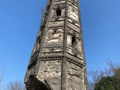 -上海佘山国家森林公园天马山园