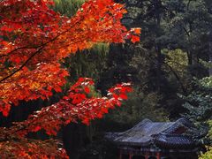 -香山公园