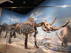 -国家自然博物馆