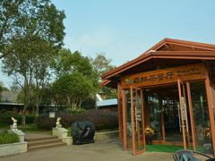 -上海海湾国家森林公园