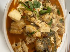 -煲来饱去冷水鱼