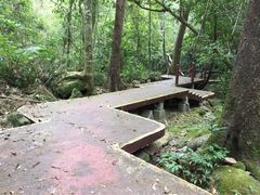 吊罗山国家森林公园-海南热带雨林国家公园吊罗山景区