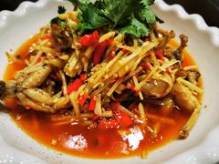 仔姜茄猫儿-飞虹鱼馆(春华路店)