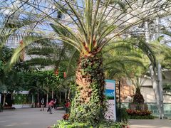 -北京植物园-展览温室