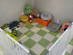 -上海浦东smart汽车全功能店(金桥店)