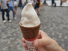 -富豪雪糕车流动点(尖沙咀店)