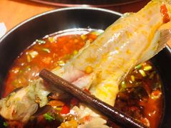 -三道苗苗鱼·美蛙黄辣丁(八里店)