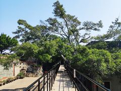 -胡里山炮台