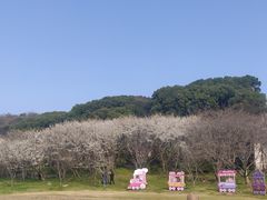 -苏州上方山国家森林公园