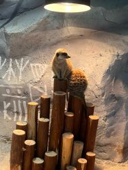 -Zoolung Zoolung动物主题公园(海信广场店)