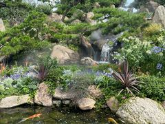 -罗红摄影艺术馆