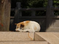 -径山寺