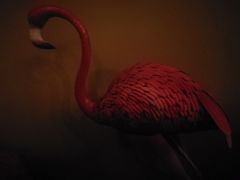 -The Tiki Bungalow提基小木屋酒吧