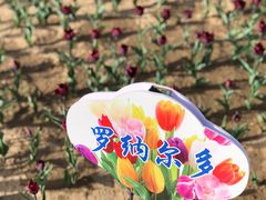 -廊坊文化艺术中心