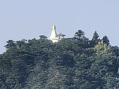 -望庐说·本地菜馆