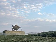 -龙坞茶村