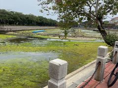 -龙舟池