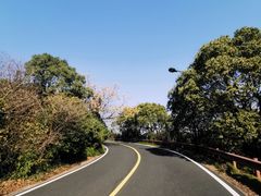 -宝界山林公园
