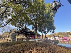 -苏州吴宫泛太平洋酒店