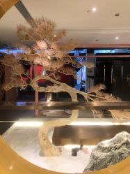 -盘子女人坊生日照·摄影馆(浦东店)